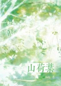 山荷叶的药用价值