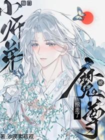 师尊和他的魔道猫崽格格党