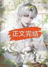 联邦议会议长