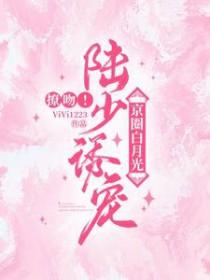 陆少宠到底