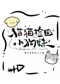 捡到猫咪的视频