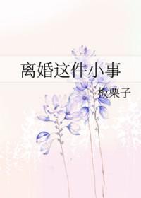 离婚这件小事(正文完)