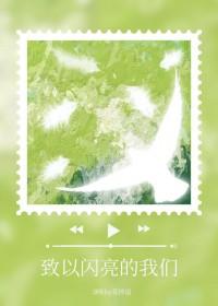 致敬最闪亮的星作文600
