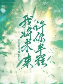 歌词许我一个未来