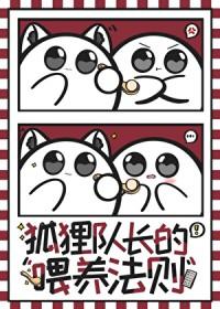 排球少年副队长