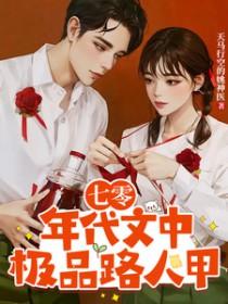七零年代文中极品路人甲晋江