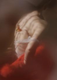 狐狸集