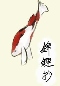 锦鲤抄银临云之泣