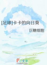 足球卡卡全名