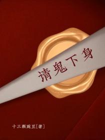 请鬼vcd