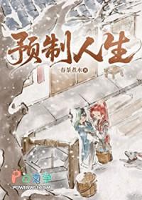 剑网三定制