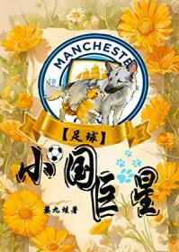 足球小国巨星by九蛙婺