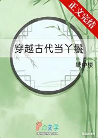 穿越到古代做丫鬟 女主有文采
