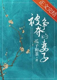被争夺的妻子全文免费阅读