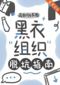 黑衣组织全员图