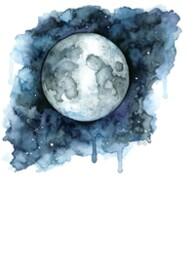 水星会掉进太阳里吗