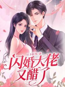 闪婚大佬以后
