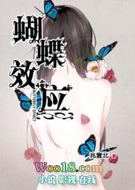 蝴蝶效应公司