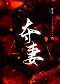 夺妻(男小三 强取豪夺) 豌豆荚 著余笙林儒洲 著