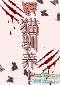 野猫驯养手册漫画